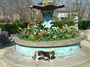 Floral display, Le Cimeti�re des chiens d'Asni�res-sur-Seine.