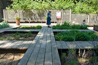 Mus�e National du Moyen Age gardens photo