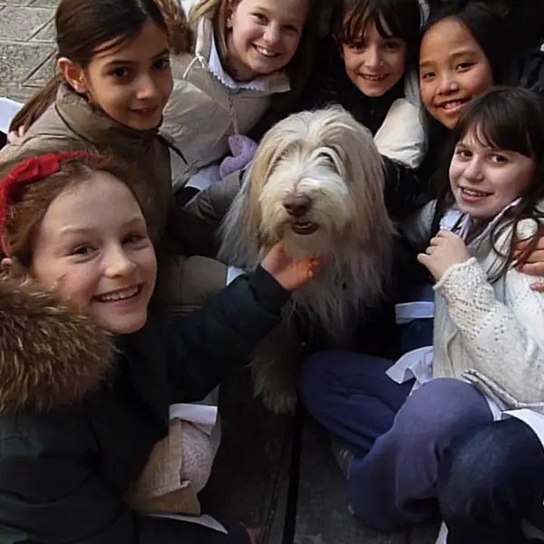 Schoolgirls pose with Maggie the Bearded Collie from the U.S. on Venice's Campiello Albrizzi.