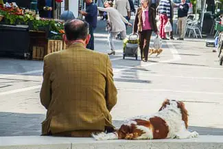 Man and dog in Lido shopping district